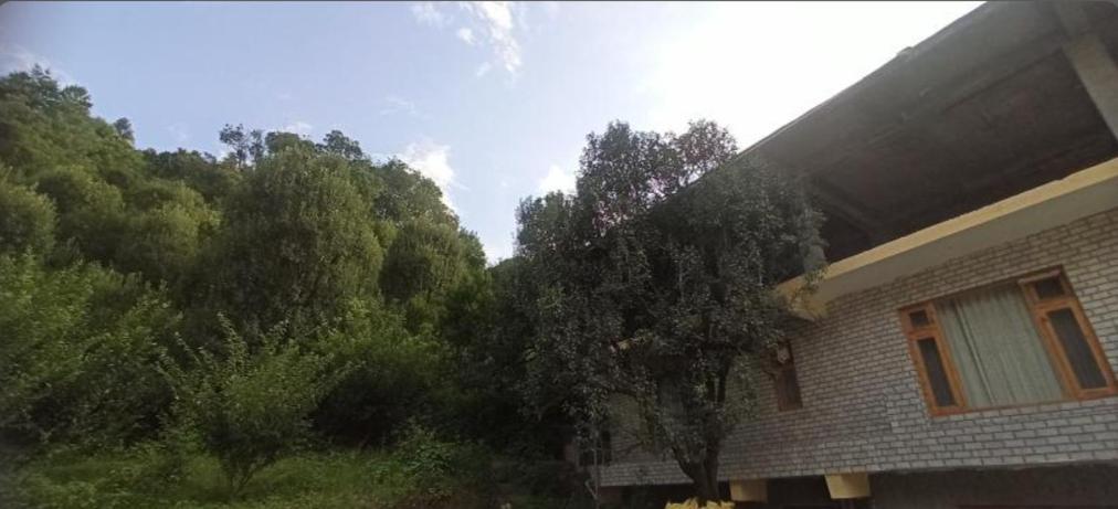 Hotel Royal Galaxy Tirthan Banjār Dış mekan fotoğraf